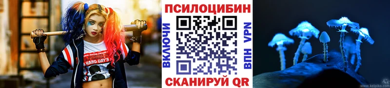 мега как зайти Севастополь Псилоцибиновые грибы MAGIC MUSHROOMS